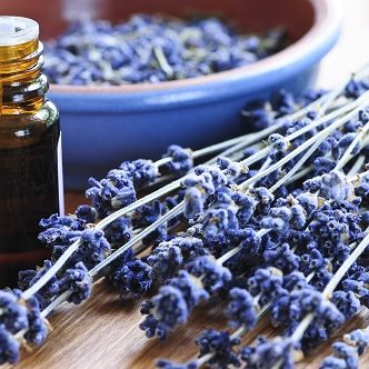 natürliches Hausmittel - Lavendel